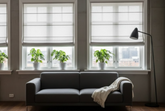 How to Choose the Best Roman Shades Style for Modern Homes