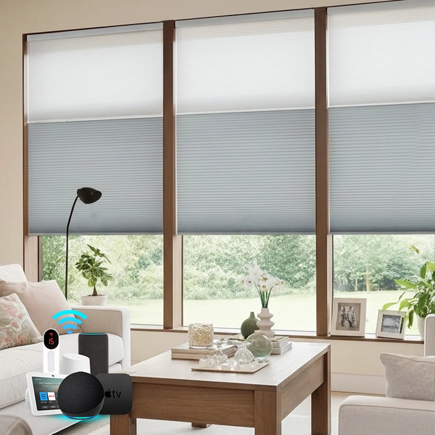 Bringnox Motorized Blackout&Light Filtering Day Night Cellular Shades