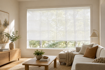 Light-filtering roller shade softening sunlight in a modern living room