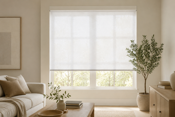 Roller shades filtering daylight in a modern living room