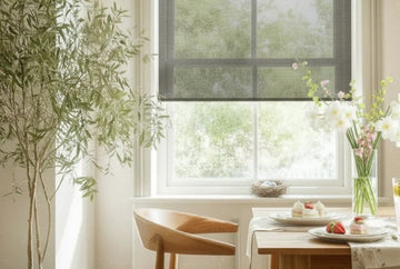 lighting filtering shade for a dining space