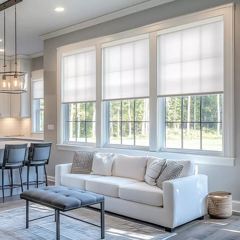 Bringnox Motorized Light Filtering Roller Shades 50% Blackout Sunscreen