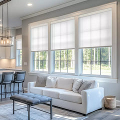 Bringnox Motorized Light Filtering Roller Shades 50% Blackout Sunscreen