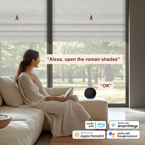 Bringnox 100% Blackout Motorized Roman Shades Dream