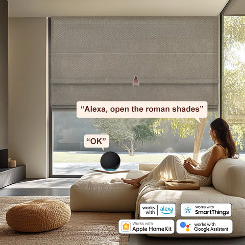 Electric Blinds with Alexa