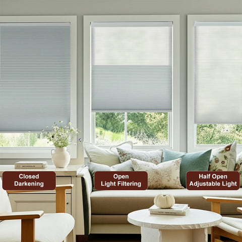 Bringnox Motorized Blackout＆Light Filtering Day Night Cellular Shades