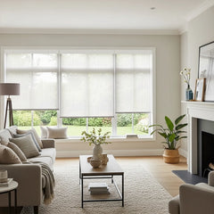Bringnox Motorized Solar Shades