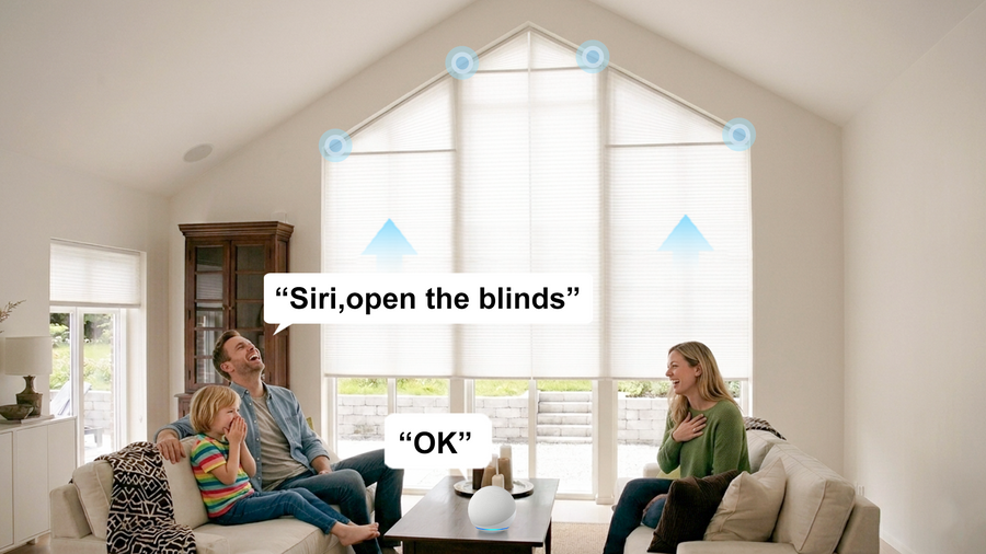 Voice Control