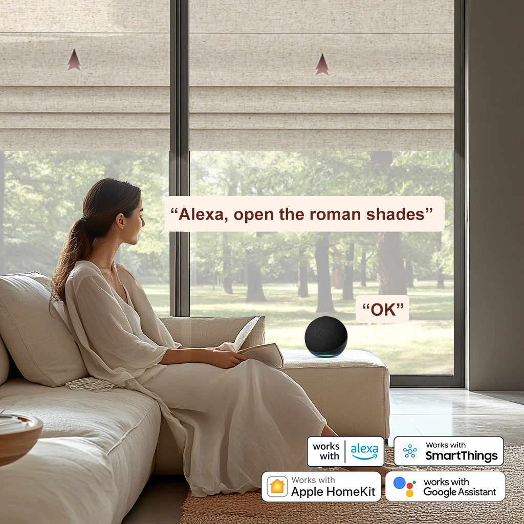Electric Blinds with Alexa
