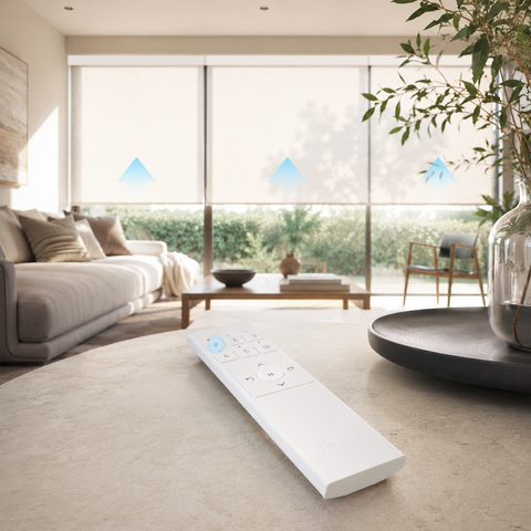 Bringnox FlexGroup 5-Channel Remote