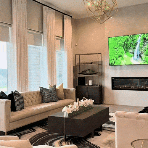 Blackout Roller Shades