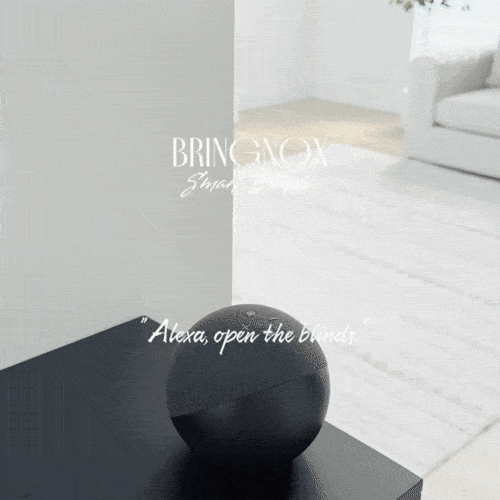 100% Blackout Zebra Blinds