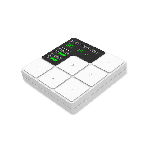 Bringnox 15-Channel LCD Wall Controller 