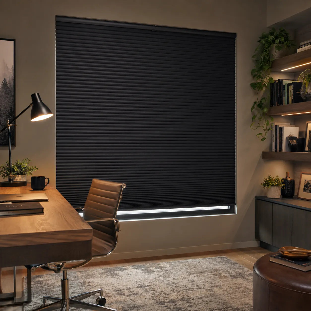 How to Choose Bringnox Motorized Shades for Room Darkening?