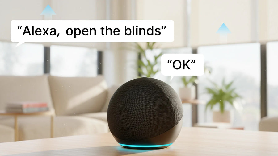 Voice Control