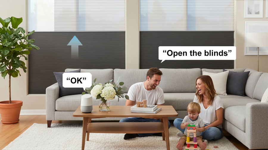 Voice Control
