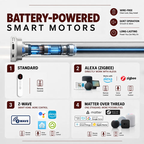 bringnox motor
